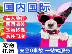 长海大长山岛国际宠物托运 【国